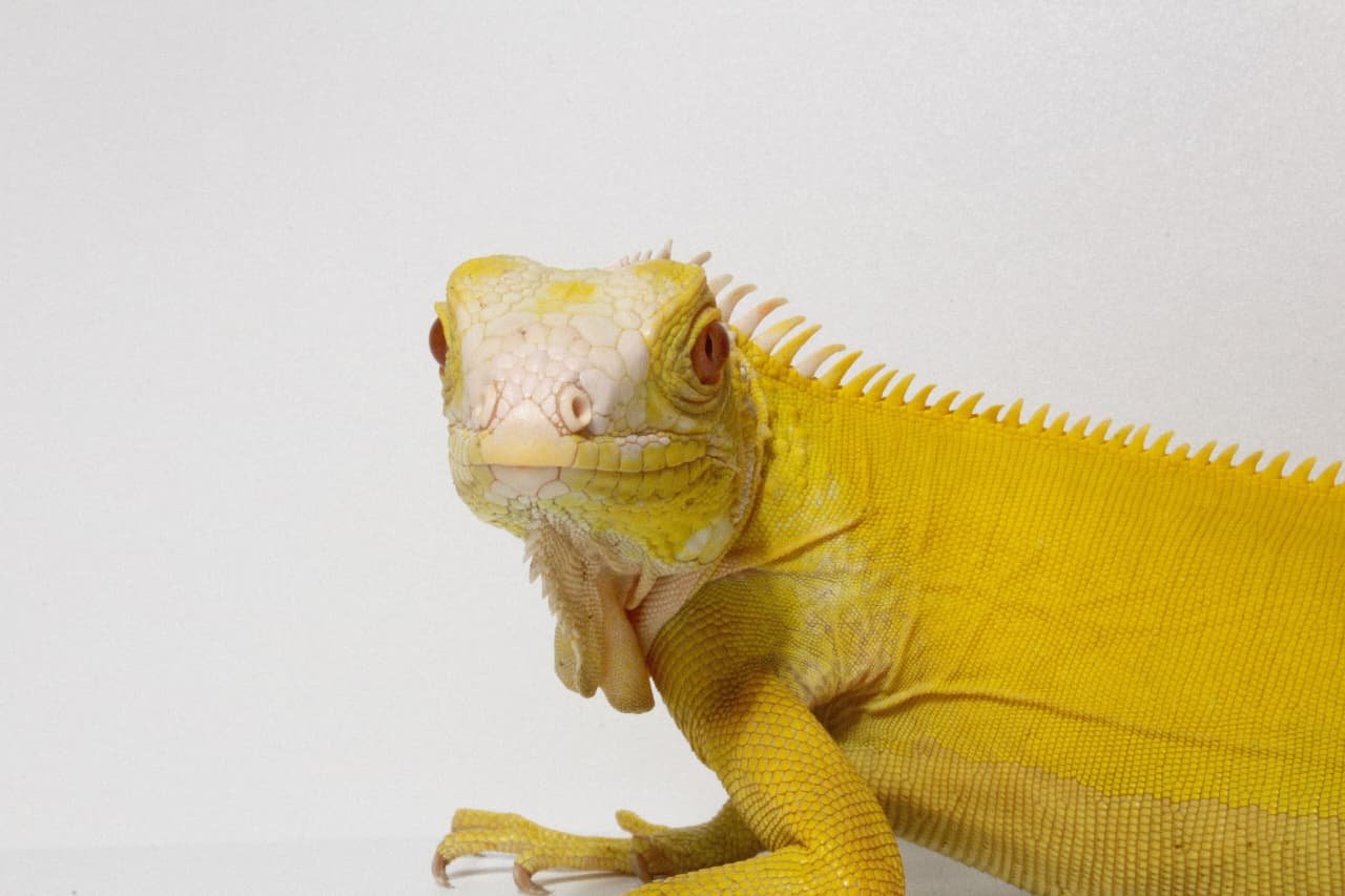 WhatsApp Image 2025-11-22 at 10.37.11 (1)