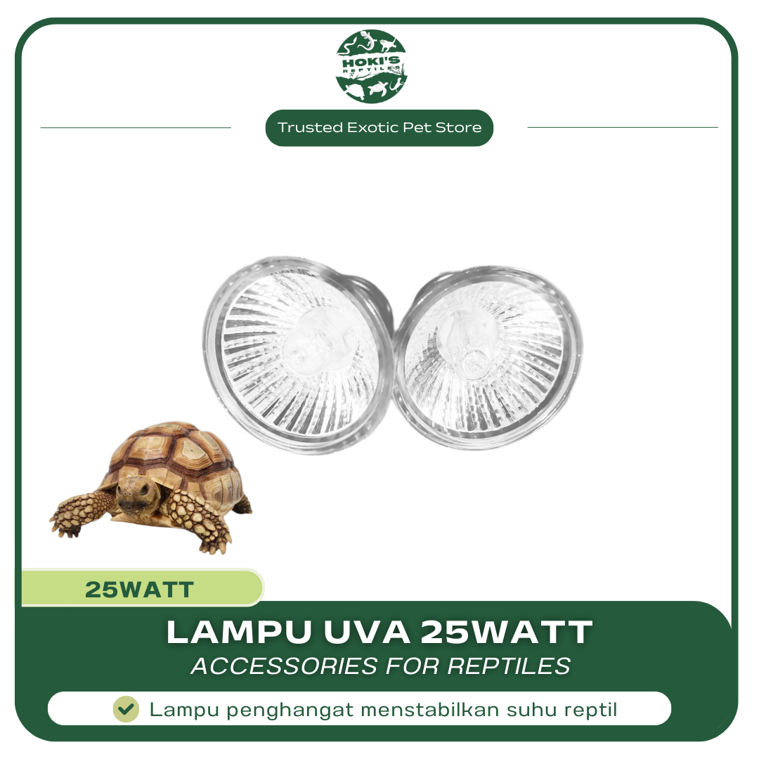 LAMPU UVA REPTIL 25 WATT DAY LAMPU
