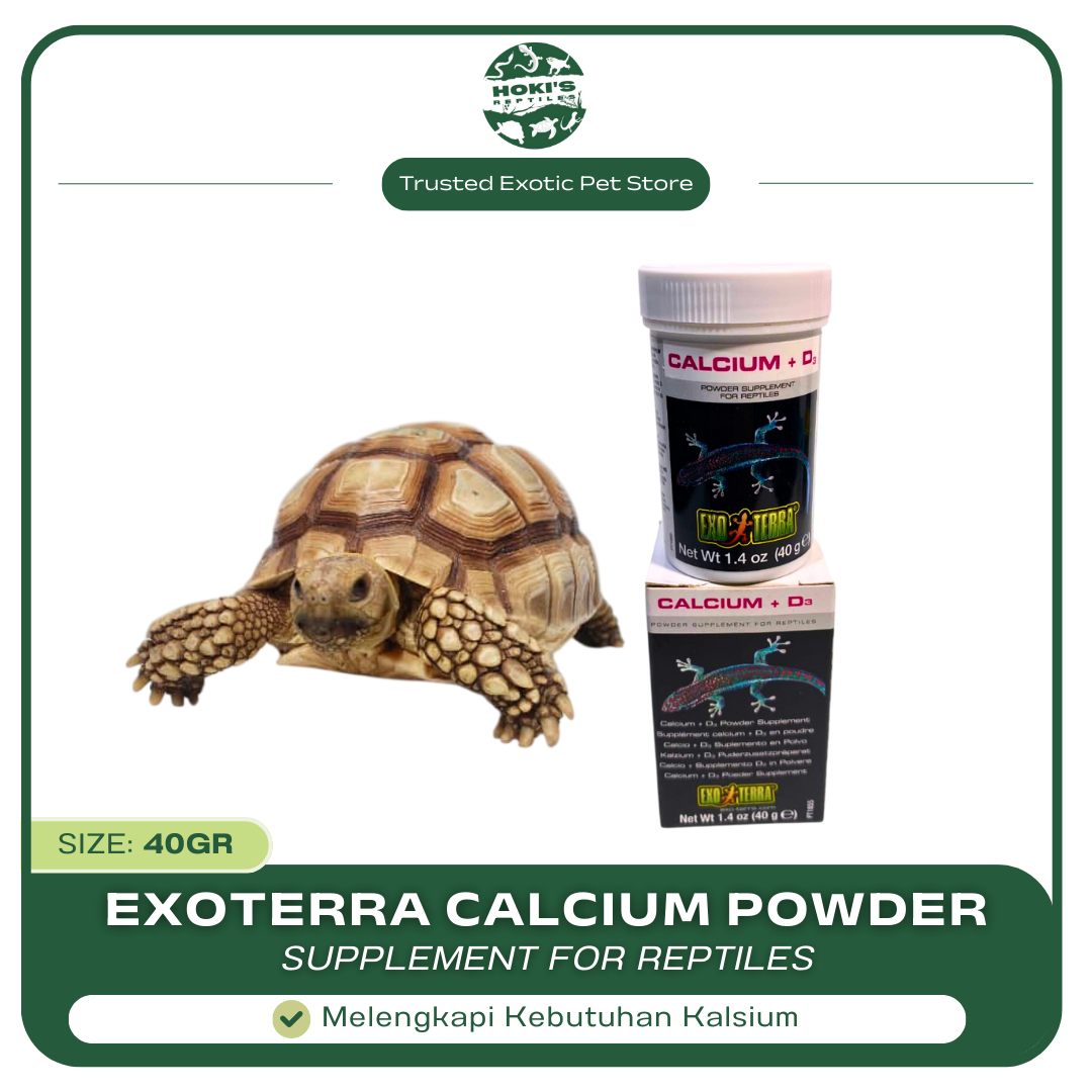 CALCIUM +D3 EXOTERRA POWDER 40GR