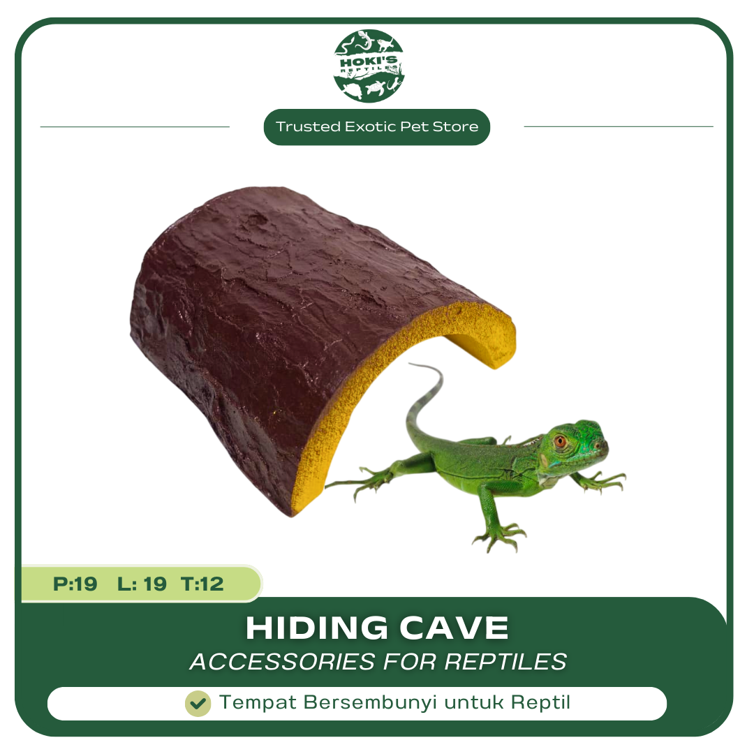 HIDING CAVE BENTUK KAYU REPTILE