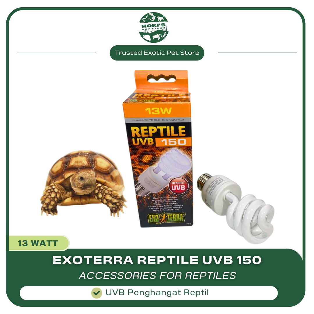 LAMPU UVB REPTILE EXOTERRA 150 13WATT VITAMIN D3 DAY LAMP