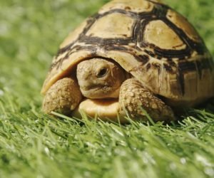 4fe41735-c3d2-49df-aa25-29ee3a4b4fbd