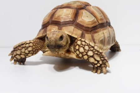 WhatsApp Image 2025-11-22 at 10.37.11