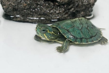 WhatsApp Image 2025-11-22 at 10.42.06