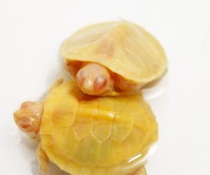 WhatsApp Image 2025-11-22 at 10.43.56