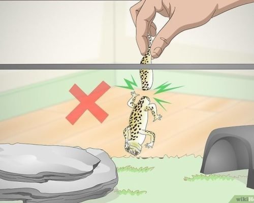 ac11231b-70de-4bf1-b94d-3400ac489ad8